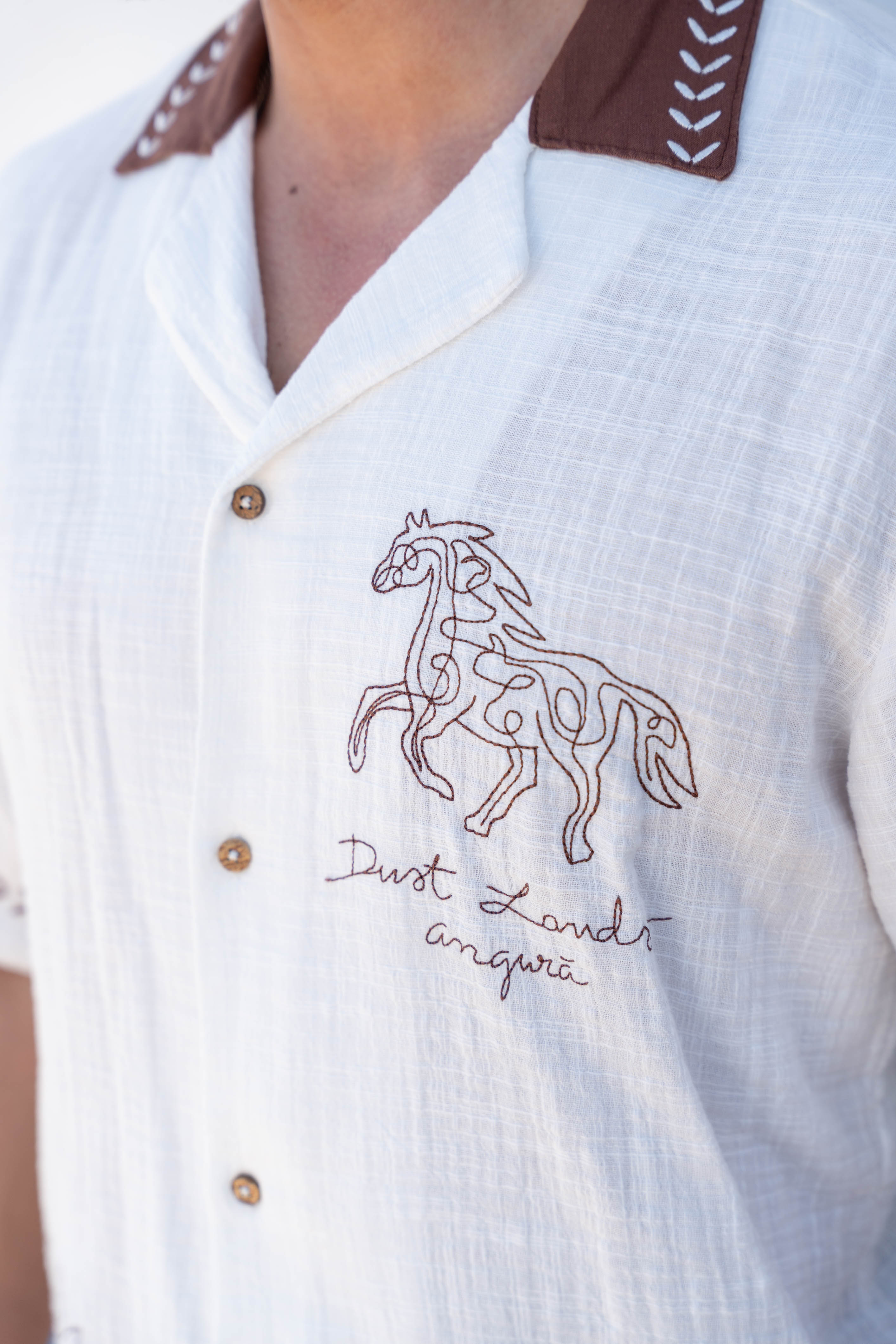 Dust Lands Linen Shirt