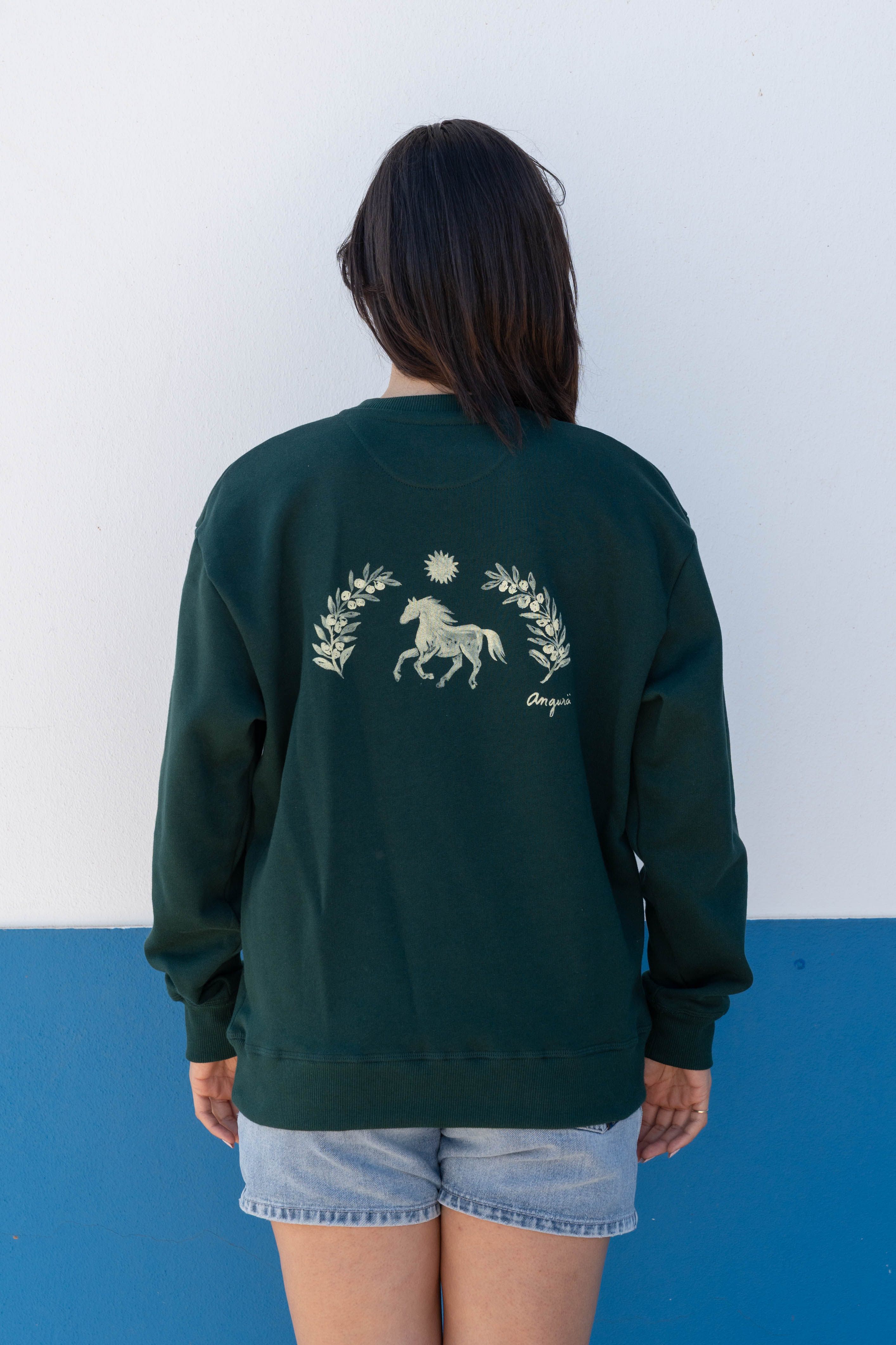 Dust Lands Sweatshirt