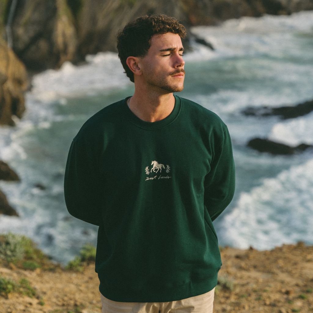 Sweatshirts angurä