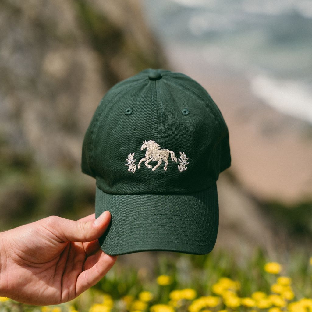 horse cap angurä