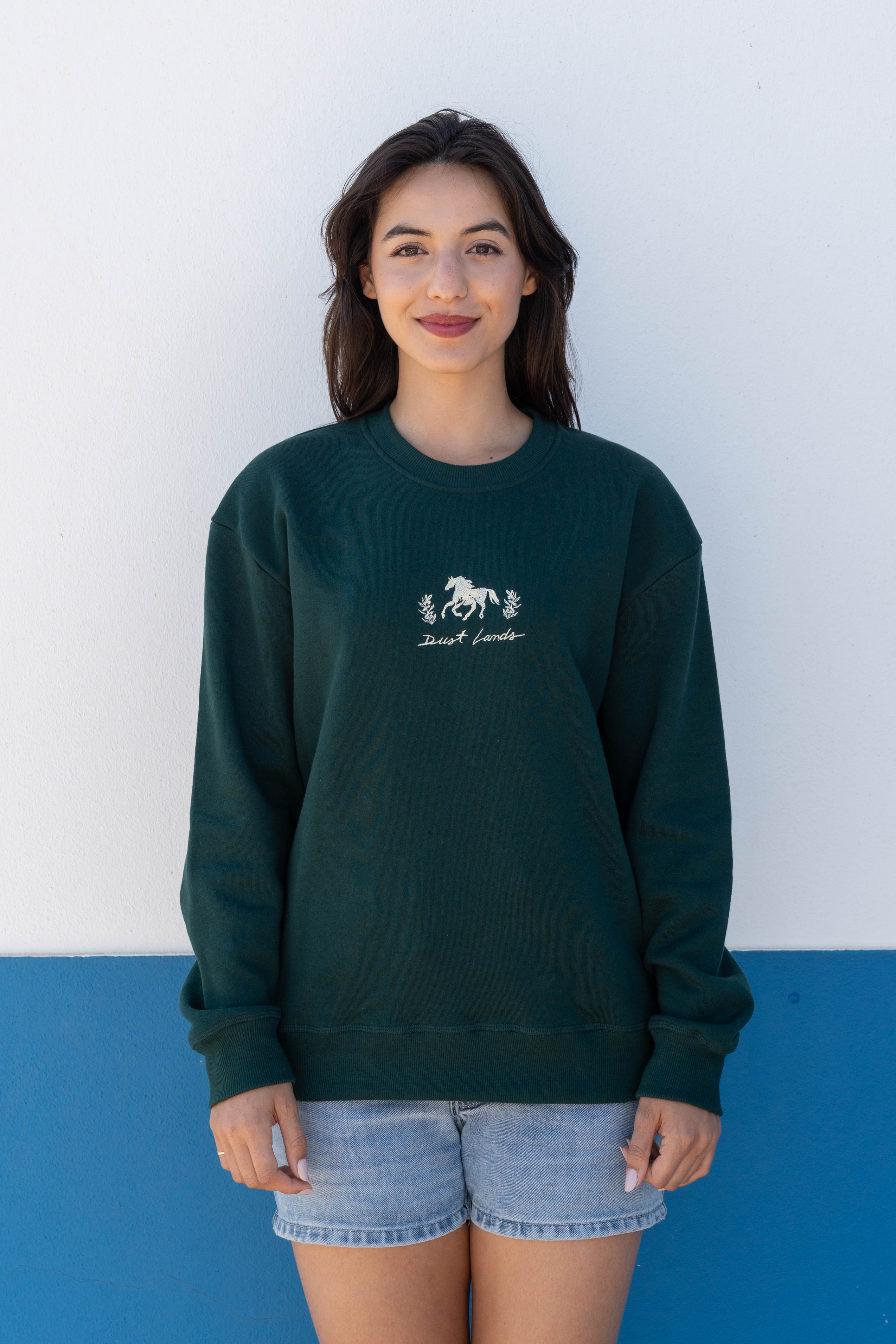 Dust Lands Sweatshirt
