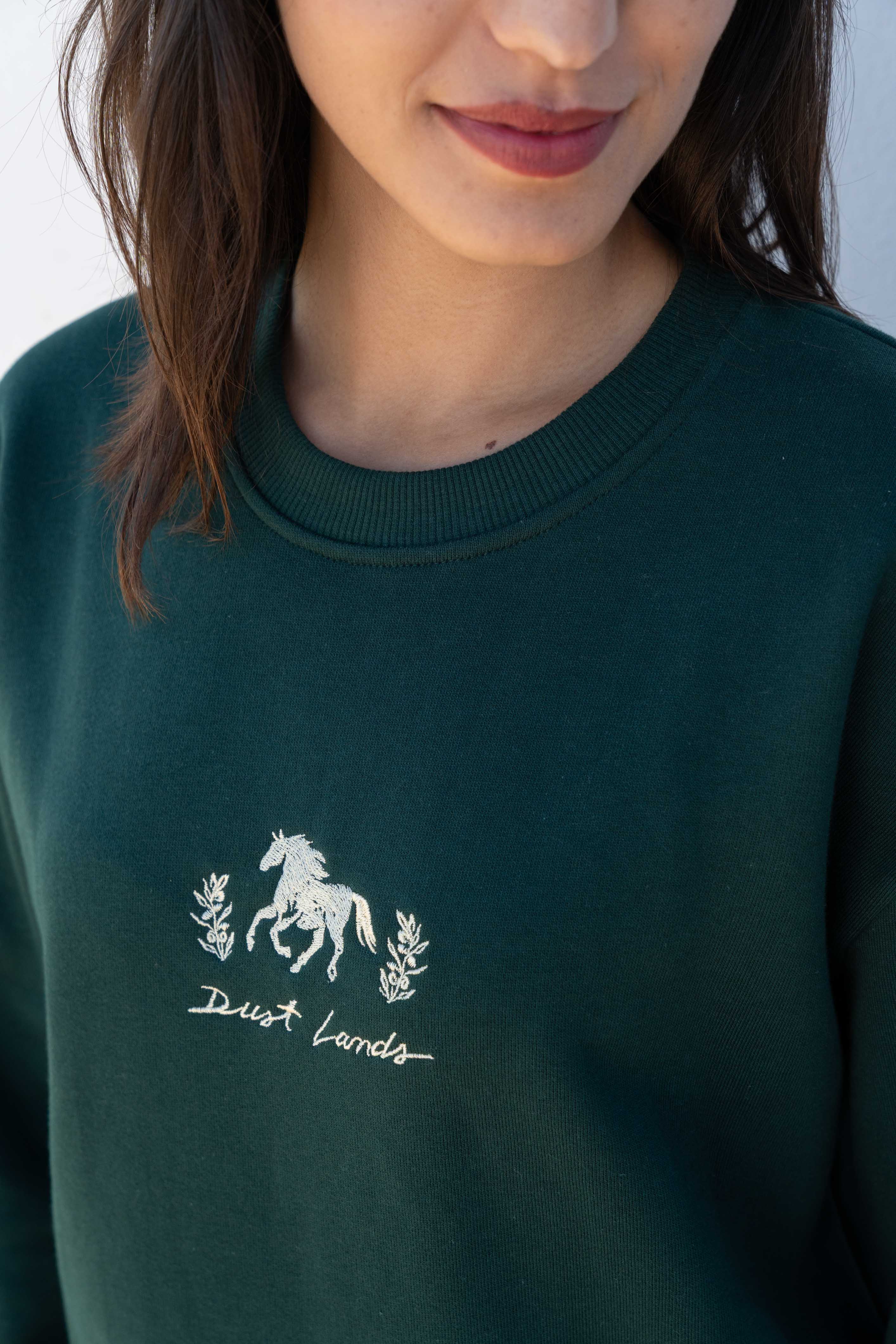 Dust Lands Sweatshirt