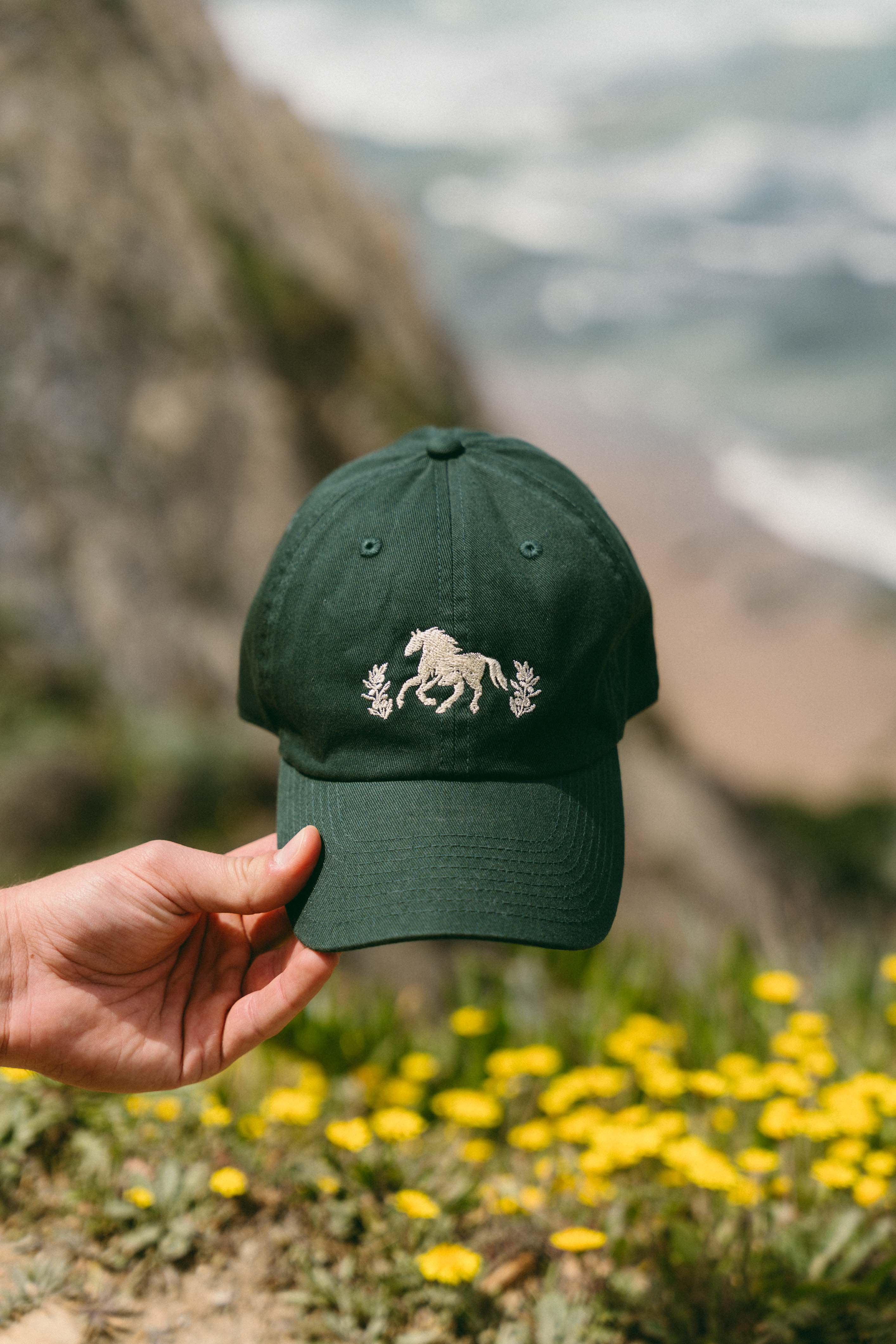 Dust Lands Cap